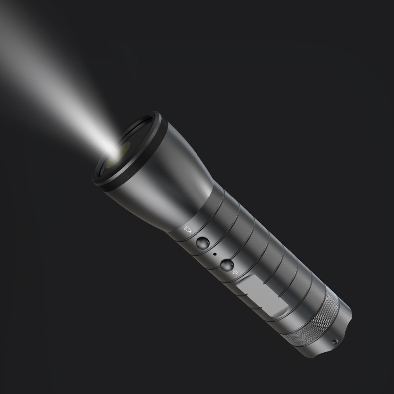 Spion Kamera - Indbygget i Lygte